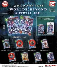 SHADOWVERSE WORLDS BEYOND カードアクリル&キーホルダー - メルカリ