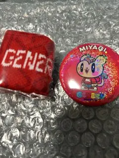 白濱亜嵐 缶バッチ 白濱亜嵐 ジェ猫 缶バッジ - メルカリ