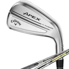 キャロウェイ APEX Ti FUSION 250 #5 DG MID90Sのサムネイル