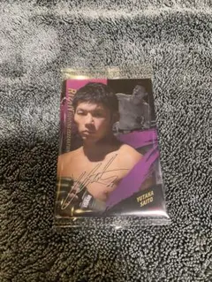 Item thumbnail for item 24b692e0-0a51-4c06-95e9-59ac0f792a0a