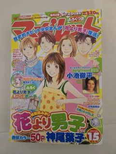 Item thumbnail for item 2d2cc122-53f4-4578-a168-b31862d13ec0