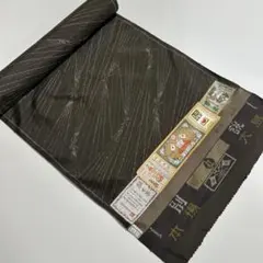 カッコイイ　本場草木泥染め大島紬　着尺反物　蝶に線描き柄　着物スキ倶楽部　７６９