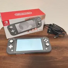 Nintendo Switch Lite グレー 箱付き 純正AC付き動作確認済