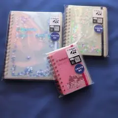 女子文具博限定品】ロルバーングリッター ノート3冊セット - メルカリ