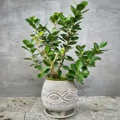 a-k様 リクエスト 4点 まとめ商品