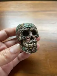 メキシカンスカル