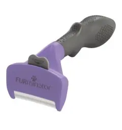 Item thumbnail for item c300464f-8564-48e6-a2ae-4989ffa16578