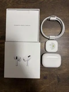 Apple AirPods Pro 第一世代 不具合なしのサムネイル