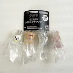 SKZOO めじるしアクセサリー　ガチャガチャ