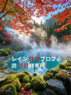 レイン‼️‼️プロフ必読‼️‼️（追加）