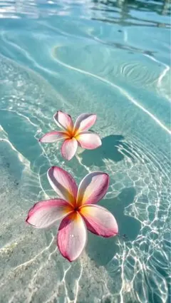 【専用】にゃんにゃんこさま