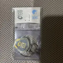 2025年最新】甲子園 土 100の人気アイテム - メルカリ