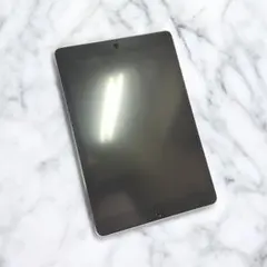 iPadPro 初代 9.7インチ 256GB + Apple Pencil