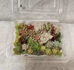 mogmog様 リクエスト 4点 まとめ商品