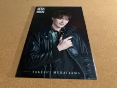 SHOW-WA 向山毅 デカホシ 大判ブロマイド