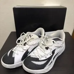 バスケットボール 28cm プーマ ALL-PRO ニトロ チーム - メルカリ