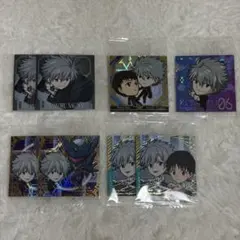 エヴァンゲリオン カルビー チップス チェンジングカード 渚カヲル