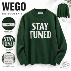 WEGO ビッグロゴ ニット M グリーン STAY TUNED