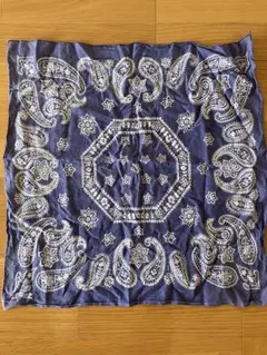 Item thumbnail for item 82c765d1-3bf7-4130-90f8-de6e9c2d88db