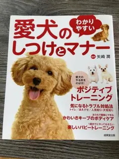 愛犬のしつけとマナー