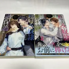 bl小説 文学・小説