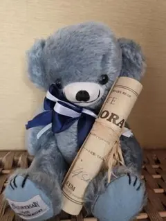 Merrythought Cheeky Sora テディベア 「チーキーソラ」