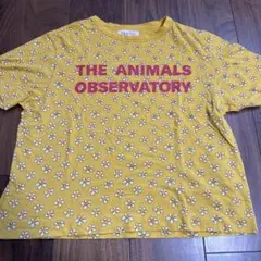 THE ANIMALS OBSERVATORY 半袖T 美品