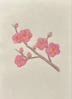 梅