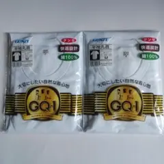 GUNZE GQ-1 半袖丸首 Tシャツ M 二着 新品