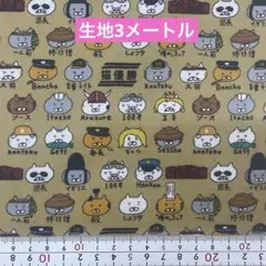 生地　3メートル　同封不可