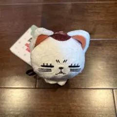 2025年最新】ダンダダン おひるねこの人気アイテム - メルカリ