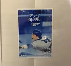 むーのしん様専用ページ　竜ブロマイド