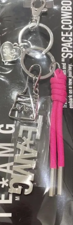 岩田剛典 ソロ SPACECOWBOY バッグチャーム TEAM G