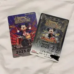 ビックバンドビート　リゾートライン　フリー切符　2枚セット