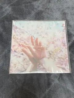 曽我部恵一 blue ／music!　猫戦 桜 super love サニーデイ 猫戦『桜 super love』 (ROSE 304X / Analog 7inch EP) | ROSE