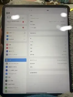 ひ*る様 iPad Pro 12.9 (第3世代) スペースグレー 64GB ジ
