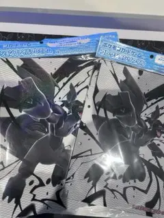 ポケモンカード　コレクションファイルプレミアム　ゼクロム&レシラム　リフィル