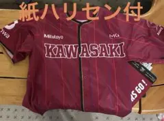 Item thumbnail for item 59be0177-65f1-4954-86d0-4e91ffa821a4