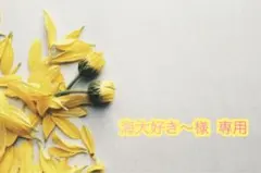 海大好き～様 専用ページ