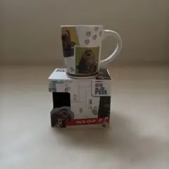 Item thumbnail for item 2f4a30b6-9a5a-41f0-bb16-c975646c95b7