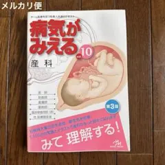 2026年最新】病気がみえる 産科の人気アイテム - メルカリ
