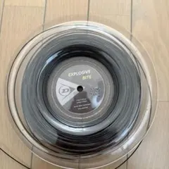 Item thumbnail for item 409eee71-008c-48f2-9aca-f4771e5da516