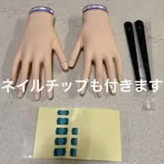 ネイリスト技能検定試験用JNEC認定モデルハンド