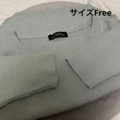 【未使用】グリーンレーベルリラクシング 半袖 ラメ トップス