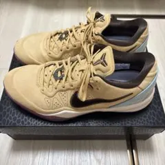J*4様 コービー8 プロトロ