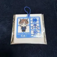 超特急 カイ REAL？ プラスチックモデル風キーホルダー