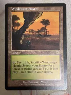 MTG 吹きさらしの荒野/Windswept Heath ONS 日本語版① MTG 吹きさらしの荒野/Windswept Heath ONS 日本語版① - メルカリ
