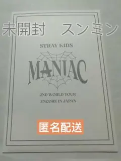 Straykids スンミン MANIAC ライブフォト トレカ