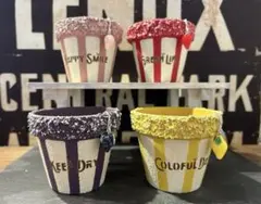 いちご&レモン&ぶどう 4点 リメイク鉢♡多肉植物 エケベリア セダム カット苗