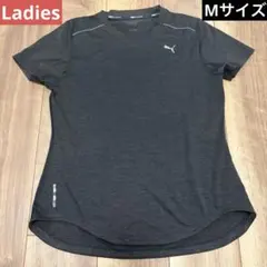 Item thumbnail for item 72505b80-0ff8-4133-9db3-8bcc67f9d841